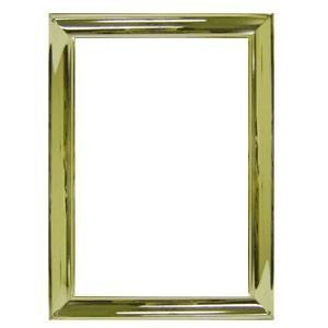 Picture Frame Concourse Brass Picture